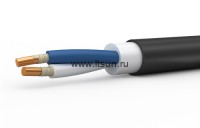 ППГнг(А)-FRHF 2х6  ок-1